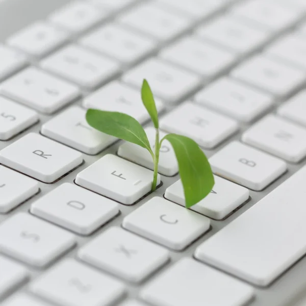 teclado-con-planta-pequena