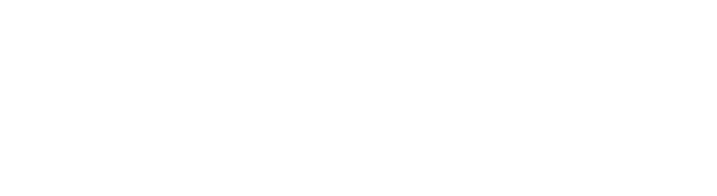 Logo footer